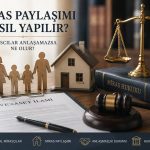 Miras Paylaşımı Nasıl Yapılır? Mirasçılar Anlaşamazsa Ne Olur?
